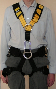 Harness only